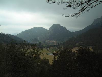 DSCF0117.JPG